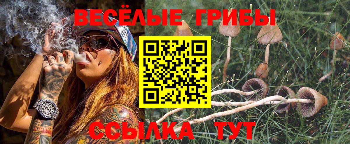 Псилоцибиновые грибы ЛСД  Вход с VPN  Богданович 