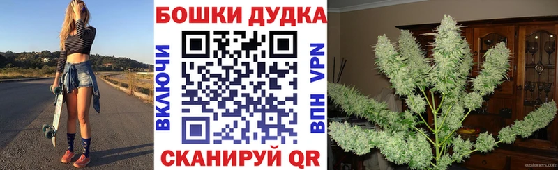 Бошки Шишки гибрид  купить  сайты  Богданович 