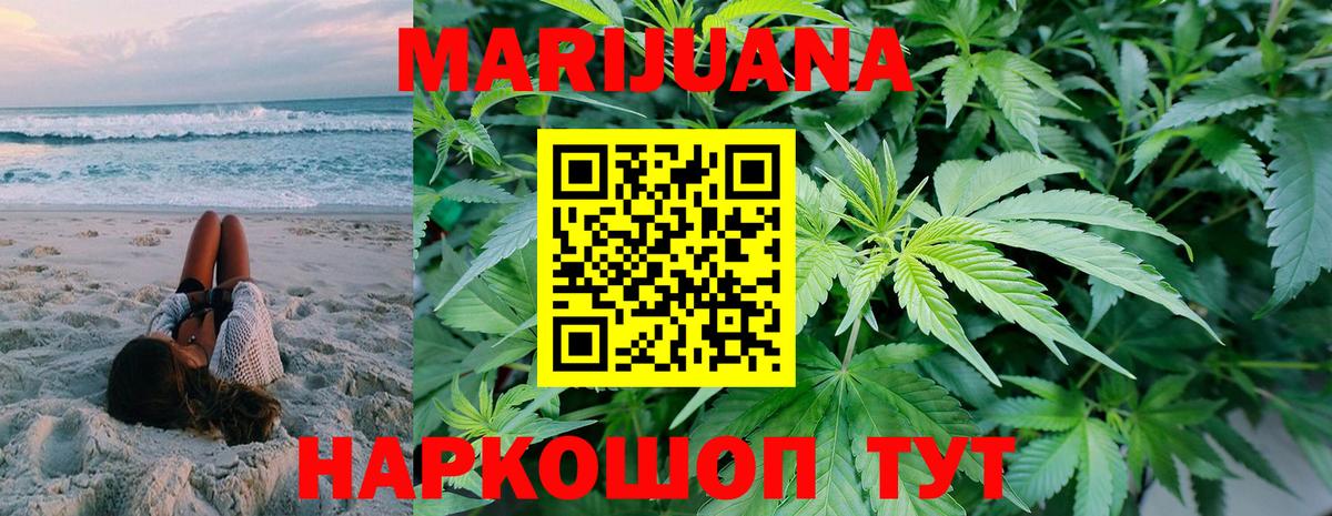 Канабис конопля Богданович